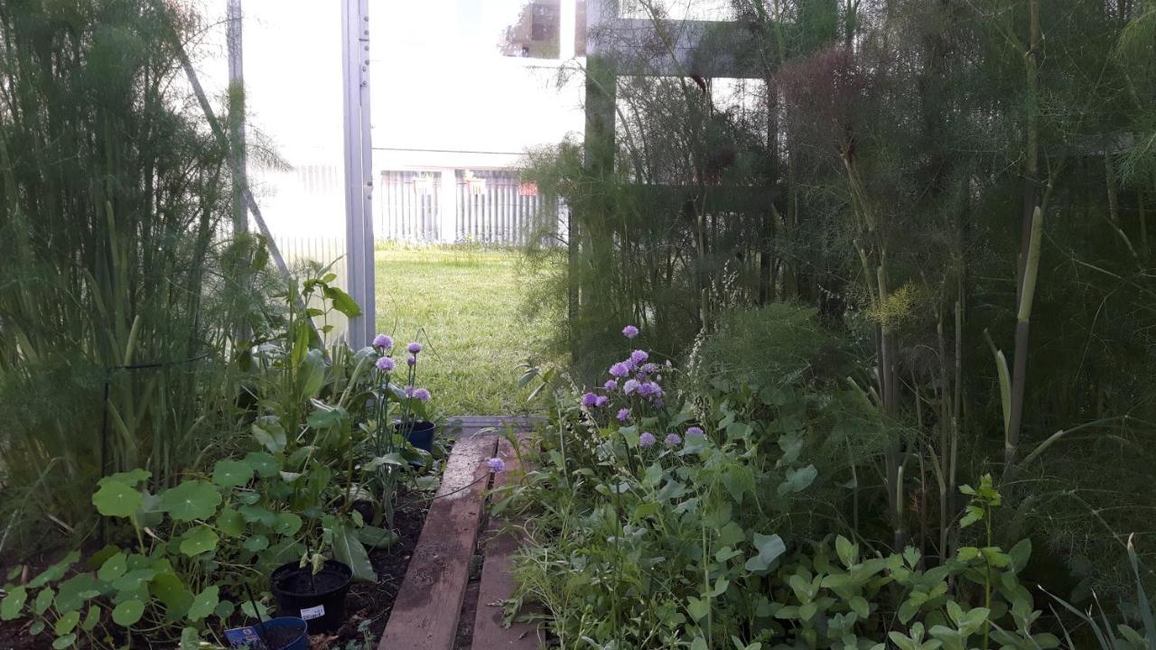Hostel Stralsund Dış mekan fotoğraf